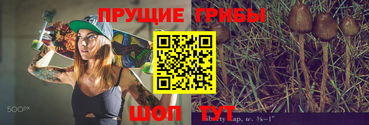Псилоцибиновые грибы Magic Shrooms Сальск