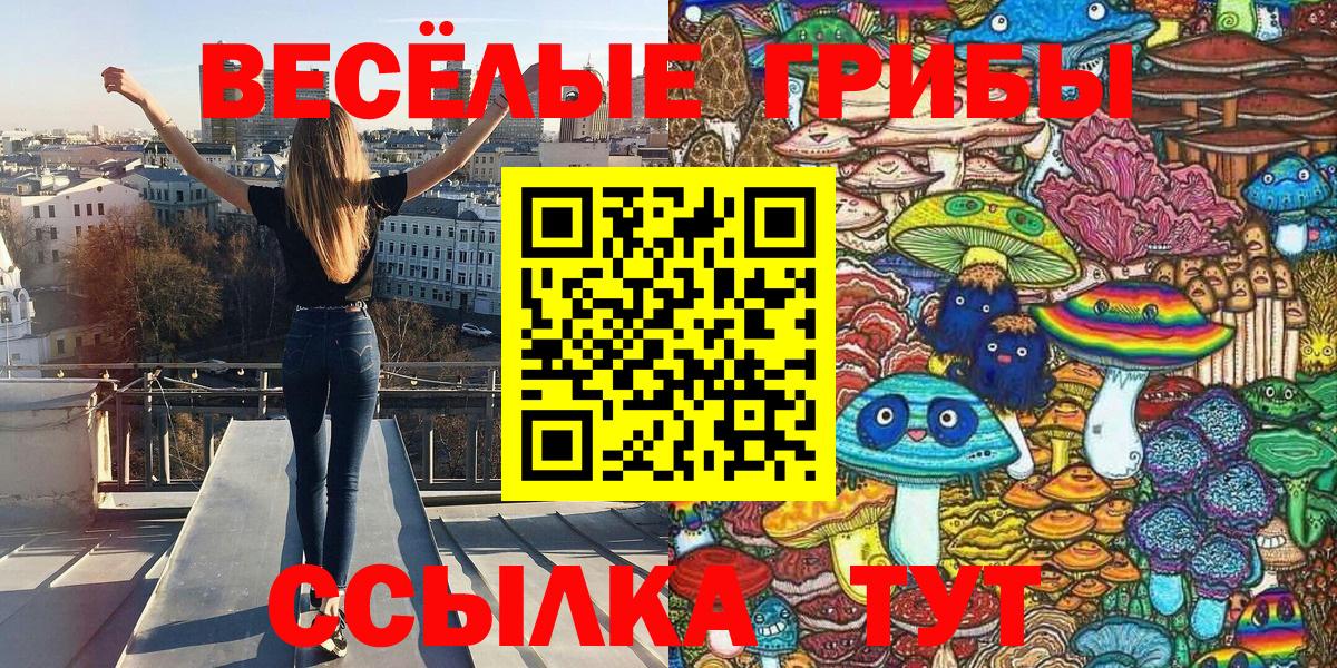 Псилоцибиновые грибы Magic Shrooms  Вход с VPN  Сальск  Галлюциногенные грибы GOLDEN TEACHER 